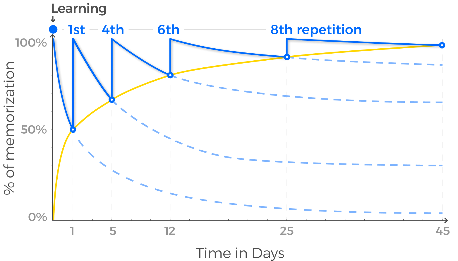 Ebbinghaus forgetting curve showing memory retention decay over time, with spaced review intervals slowing the decline